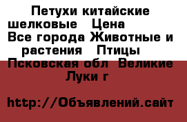 Петухи китайские шелковые › Цена ­ 1 000 - Все города Животные и растения » Птицы   . Псковская обл.,Великие Луки г.